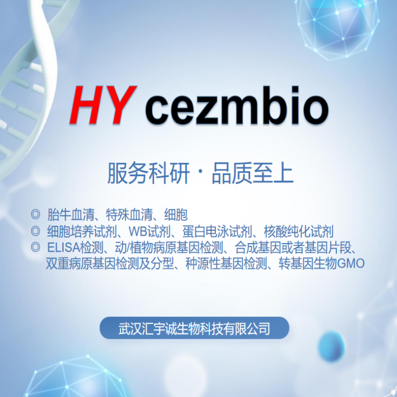 Dioctophyme renale肾膨结线虫探针法PCR试剂盒（不含内参）