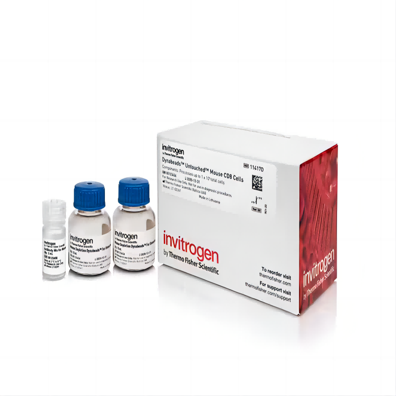 Dynabeads™ Untouched™ Mouse CD8 Cells Kit