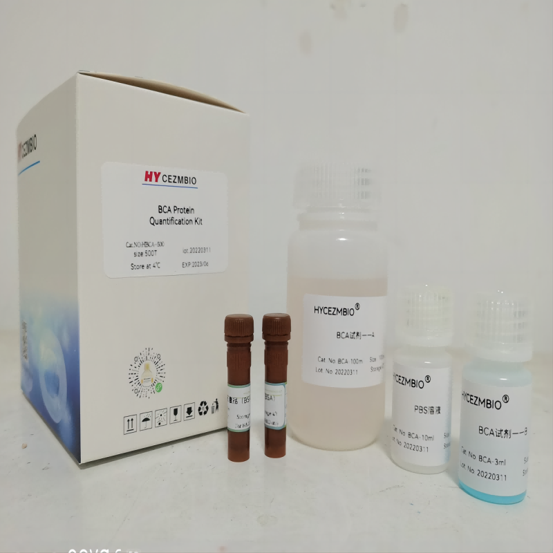 BCA Protein Quantification Kit BCA 蛋白浓度测定试剂盒