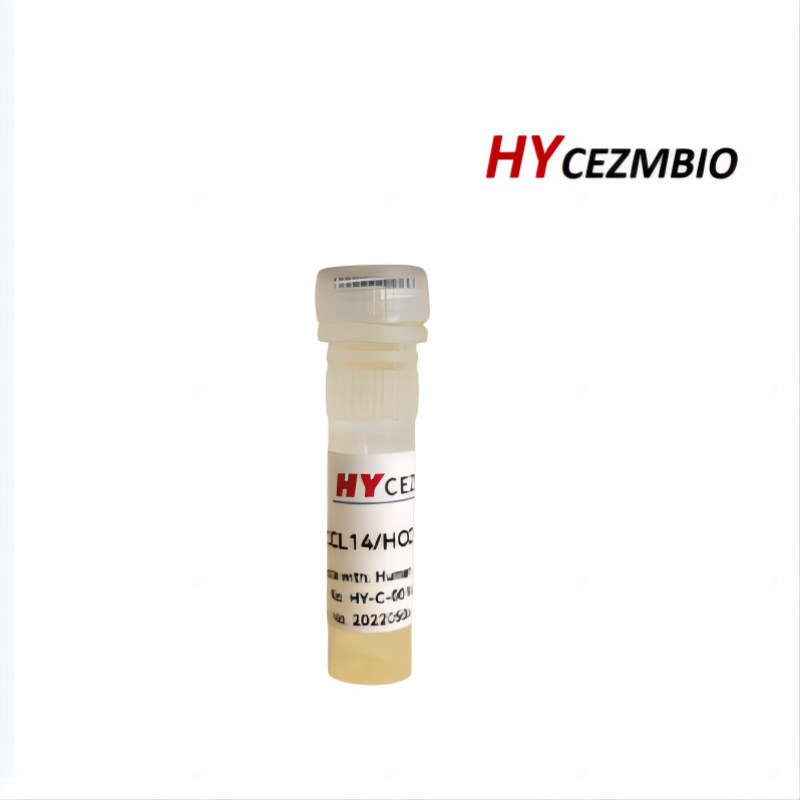 CCL5/C-C Motif Chemokine 5/RANTES