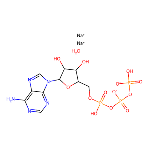 腺苷-5′-三磷酸 二钠盐 水合物 阿拉丁