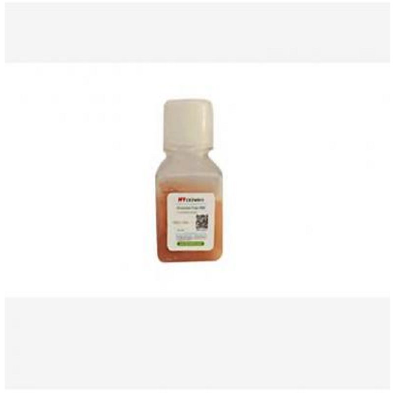 无外泌体马血清